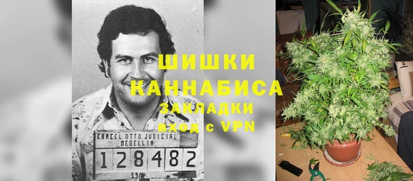 бошки Белокуриха
