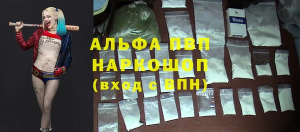 стафф Беломорск