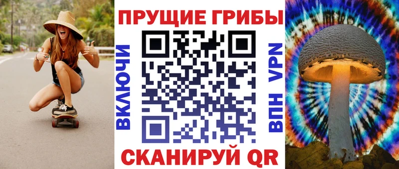 hydra ССЫЛКА  Верхний Уфалей  Галлюциногенные грибы Cubensis  это телеграм  купить наркотики цена 